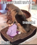 in trouble again