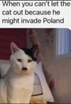 Hitler Cat