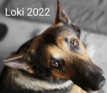 Freeman_Loki.jpg