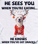 He Sees You IMG_1422.png