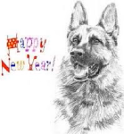 Happy New Year Dog.png
