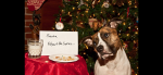 Christmas Humor