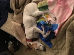Jack_3
