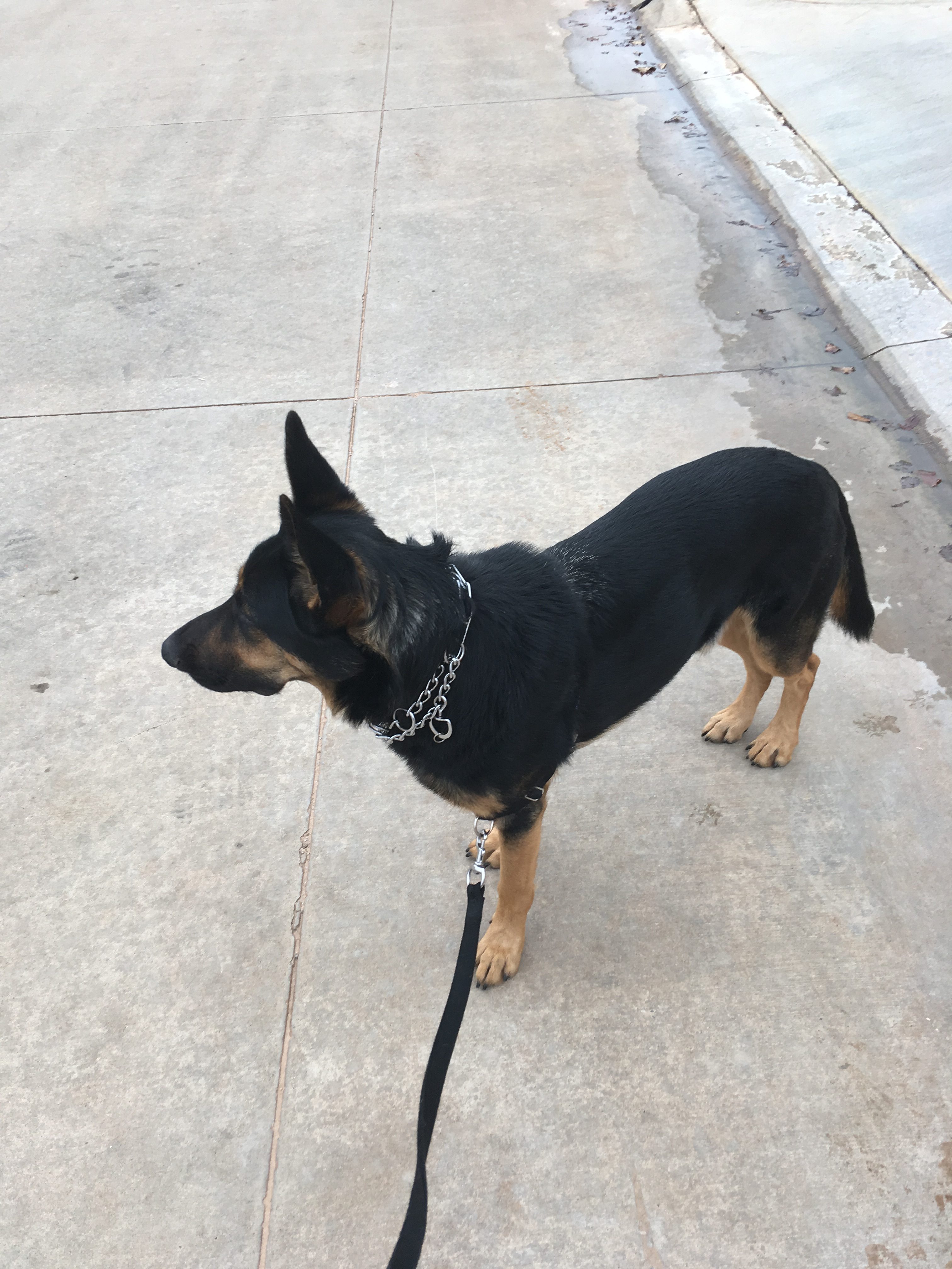 Kaiser