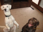 Libby n Baloo