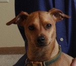 Rusty2