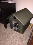 Cat House