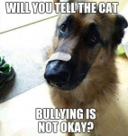 Bullying Is Not Okay