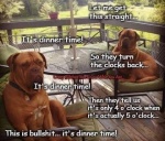 Time Change Is B___ S____!
