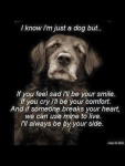 Just a Dog But..