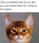 Ride to Airport