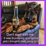 Don't Start With Me