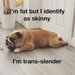 Trans-Slender