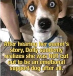 Emotional Support Dog