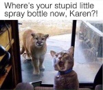 Where's Your Stupid Spray Bottle Now?