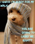 Carry Me