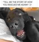 Tell Me the Story Again