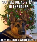 No Sticks in the House