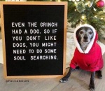 Even the Grinch had a Dog
