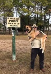 If Your Dog Poops Pick It Up