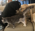 Friends