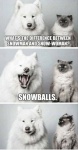 Humor